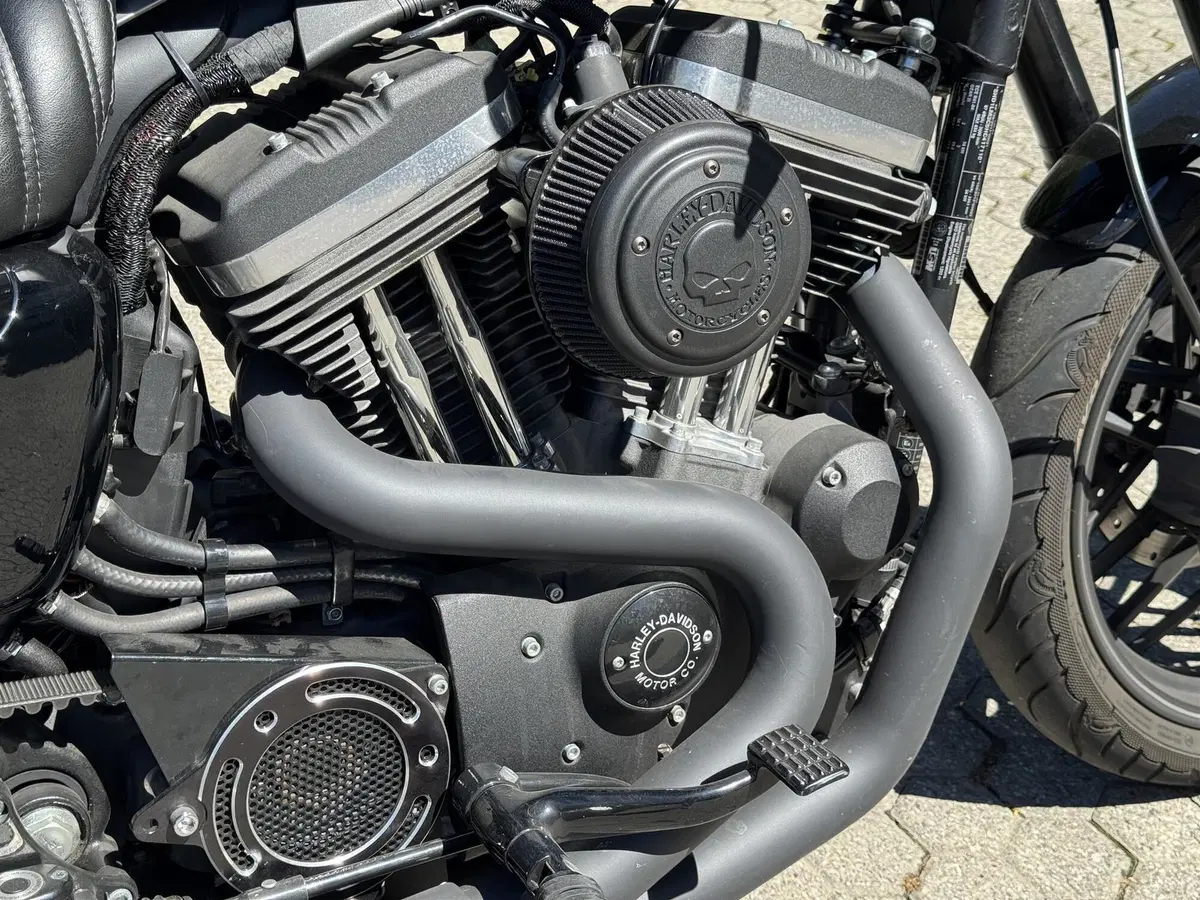 Harley-Davidson 1200 Roadster (2017 - 20) - XL 1200R (6)