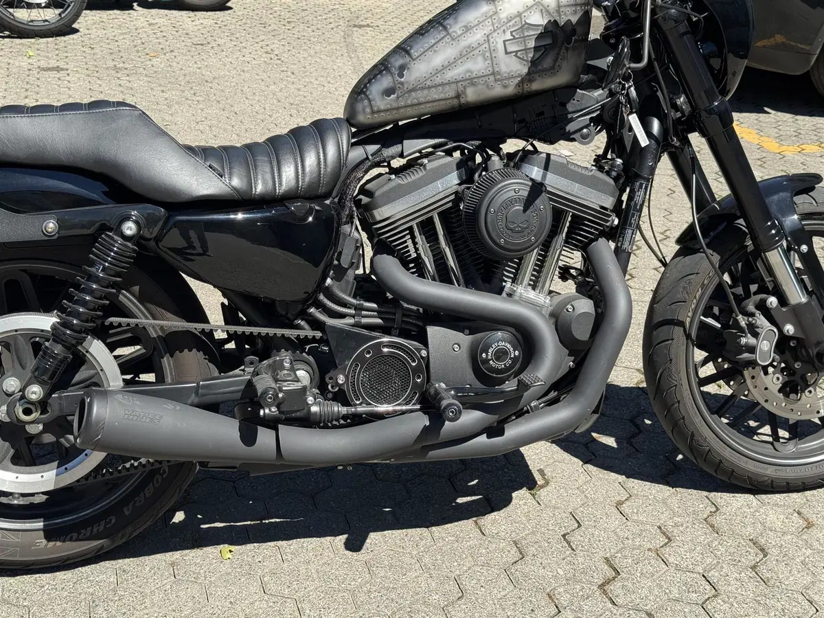 Harley-Davidson 1200 Roadster (2017 - 20) - XL 1200R (7)