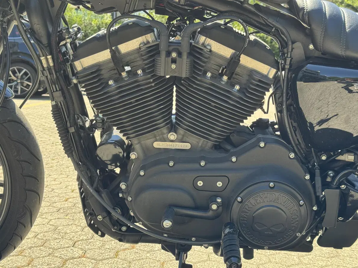 Harley-Davidson 1200 Roadster (2017 - 20) - XL 1200R (2)