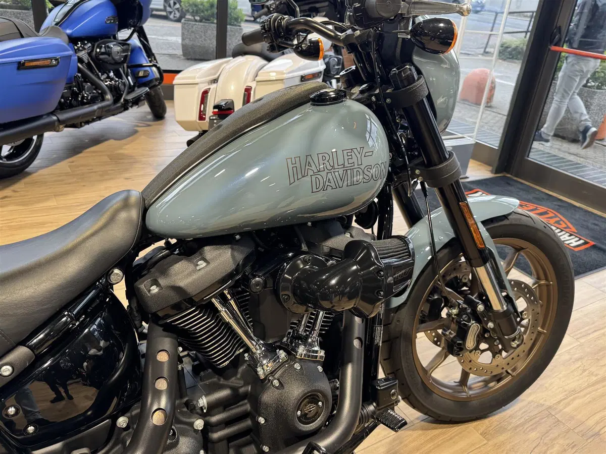 Harley-Davidson Low Rider S (2022 - 24) (2)