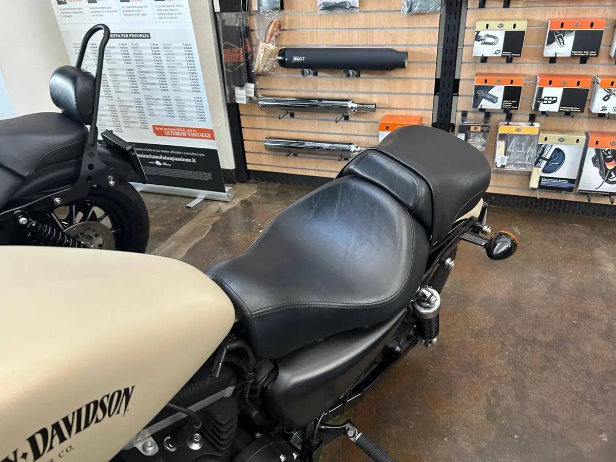 Harley-Davidson 883 Iron (2012 - 14) - XL 883N (2)