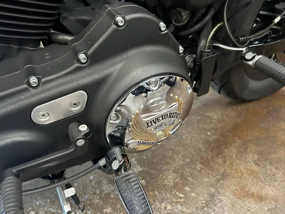 Harley-Davidson 883 Iron (2012 - 14) - XL 883N (3)