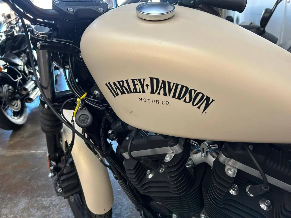 Harley-Davidson 883 Iron (2012 - 14) - XL 883N (4)