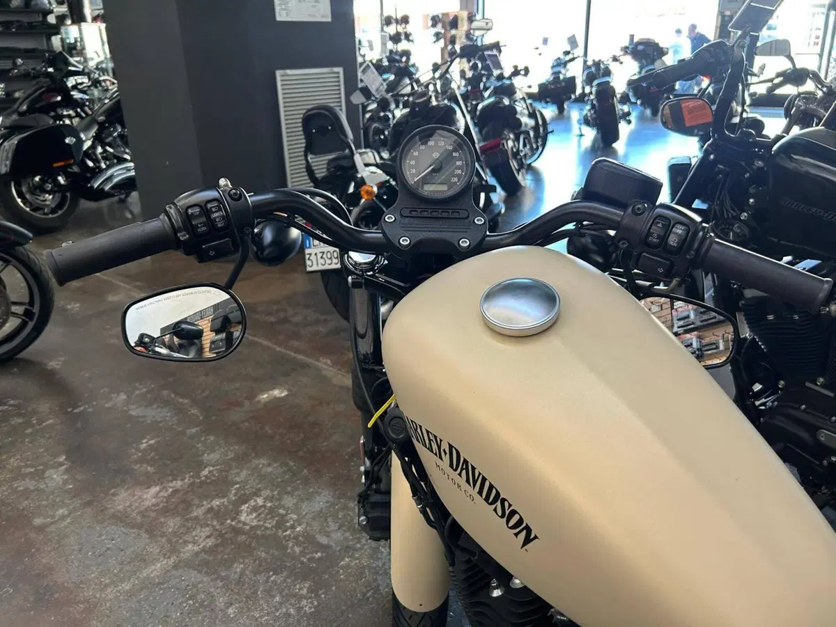 Harley-Davidson 883 Iron (2012 - 14) - XL 883N (5)