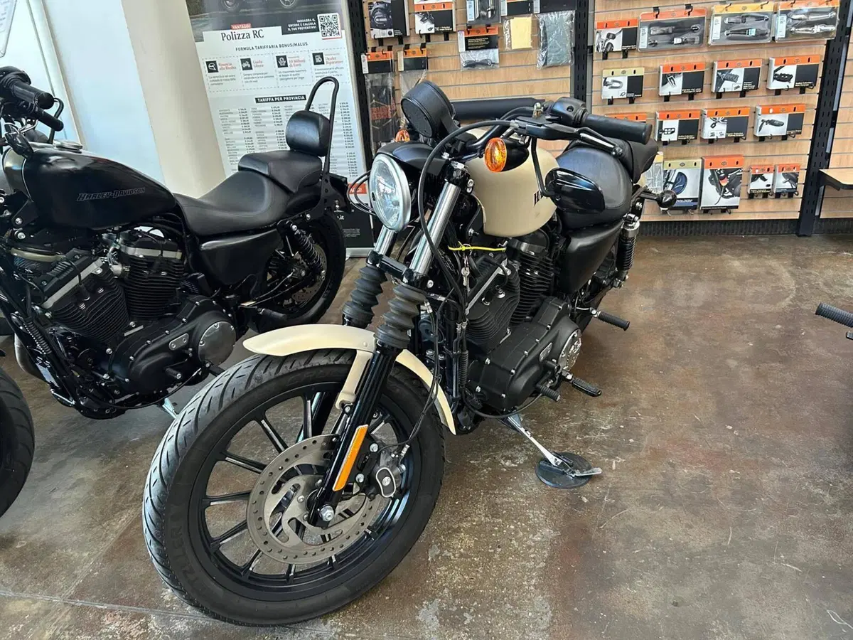 Harley-Davidson 883 Iron (2012 - 14) - XL 883N (6)