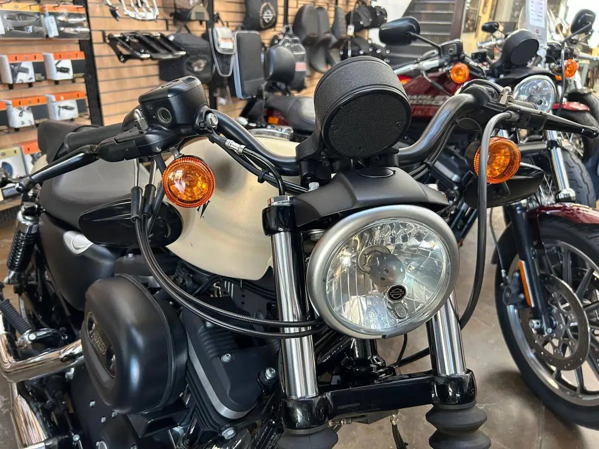 Harley-Davidson 883 Iron (2012 - 14) - XL 883N (7)
