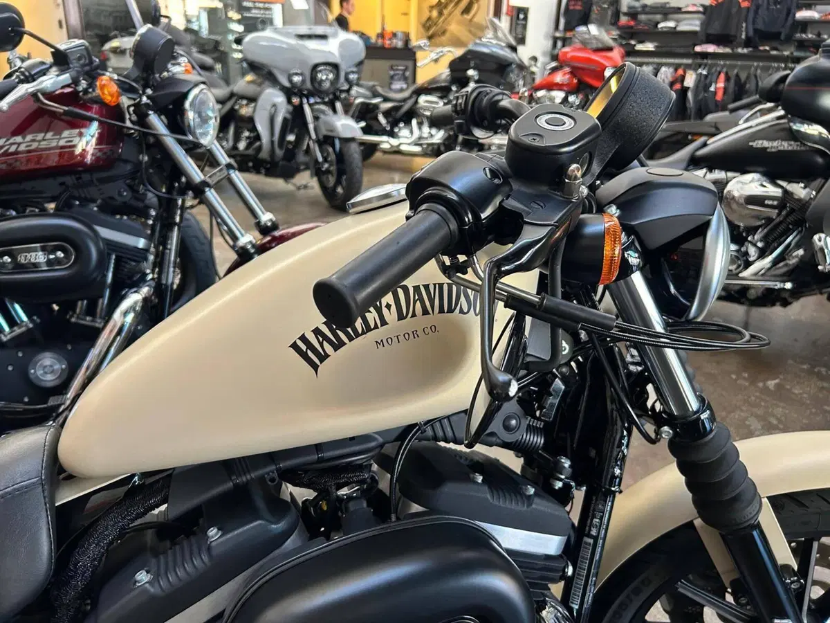 Harley-Davidson 883 Iron (2012 - 14) - XL 883N (8)