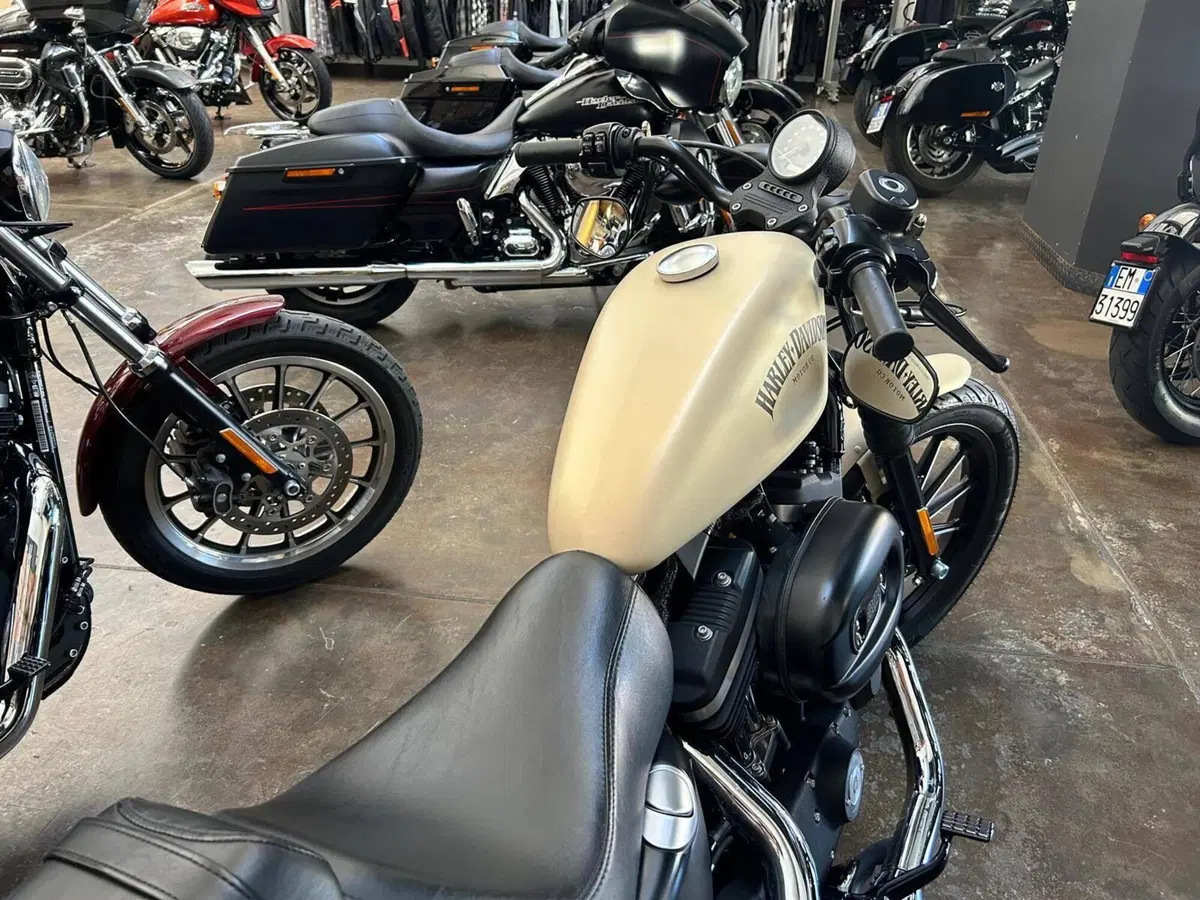 Harley-Davidson 883 Iron (2012 - 14) - XL 883N (9)