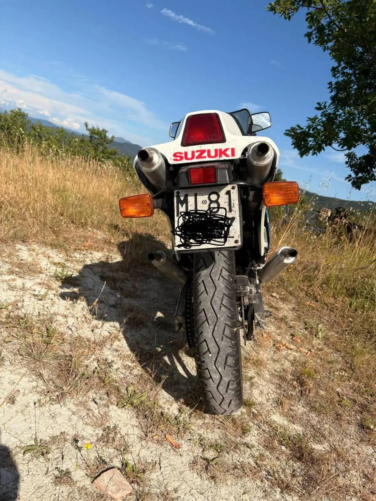 Suzuki Rg 500 Gamma (4)