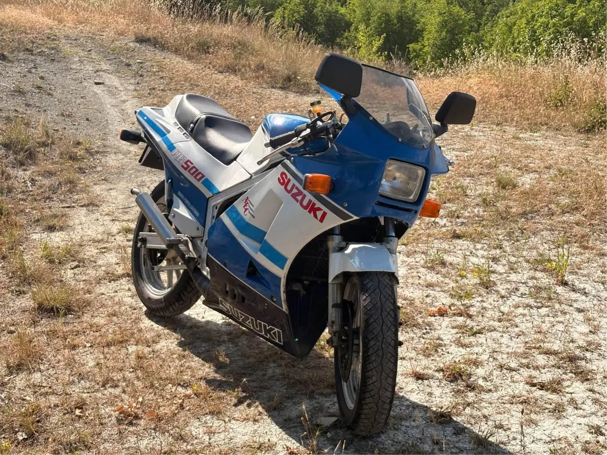 Suzuki Rg 500 Gamma (5)
