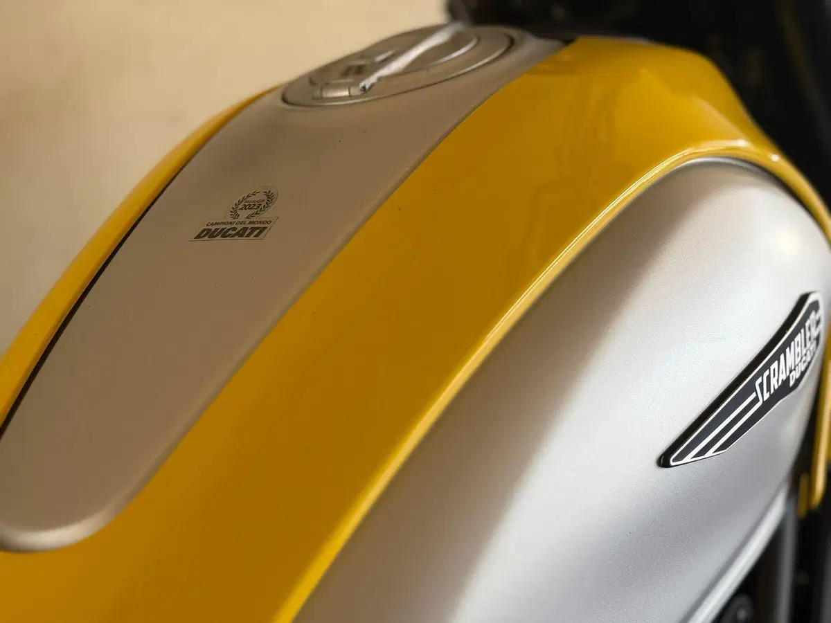 Ducati Scrambler 800 Icon (2023 - 24) (7)