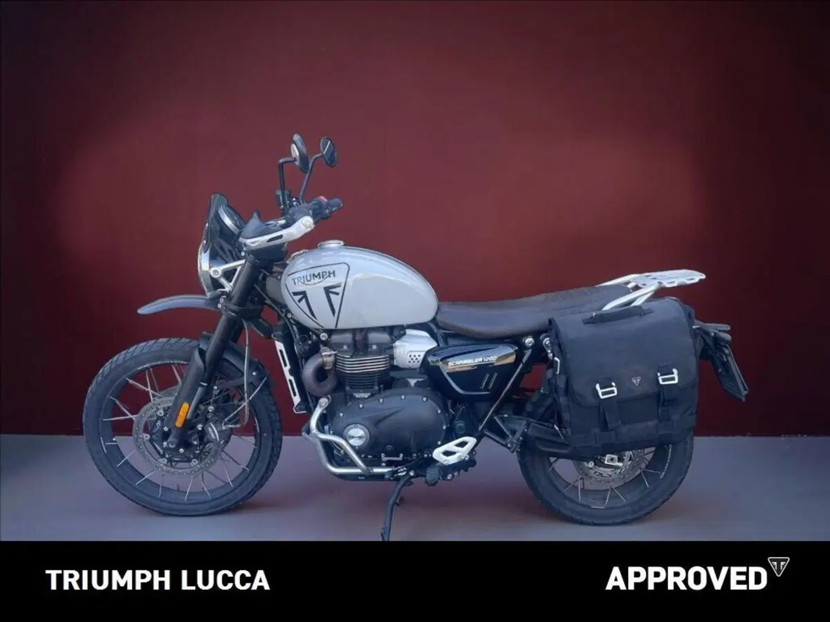 Triumph Scrambler 1200 X (2024 - 26) (5)
