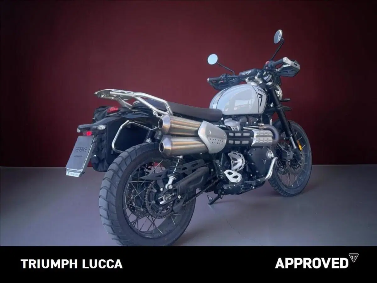 Triumph Scrambler 1200 X (2024 - 26) (4)