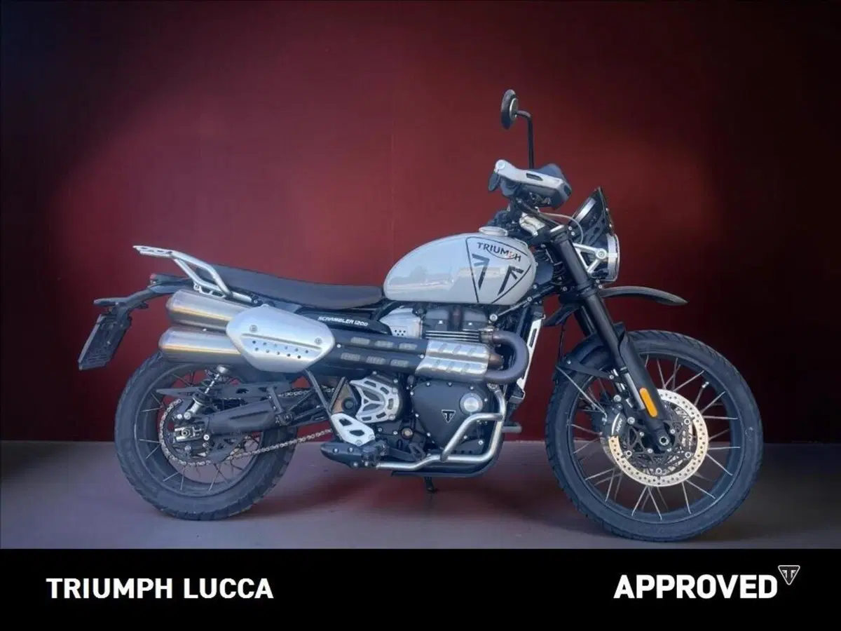 Triumph Scrambler 1200 X (2024 - 26) (6)