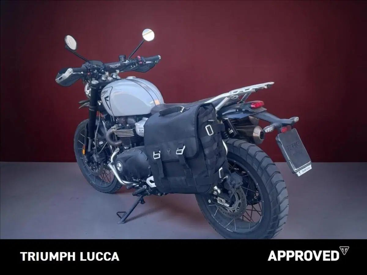 Triumph Scrambler 1200 X (2024 - 26) (3)