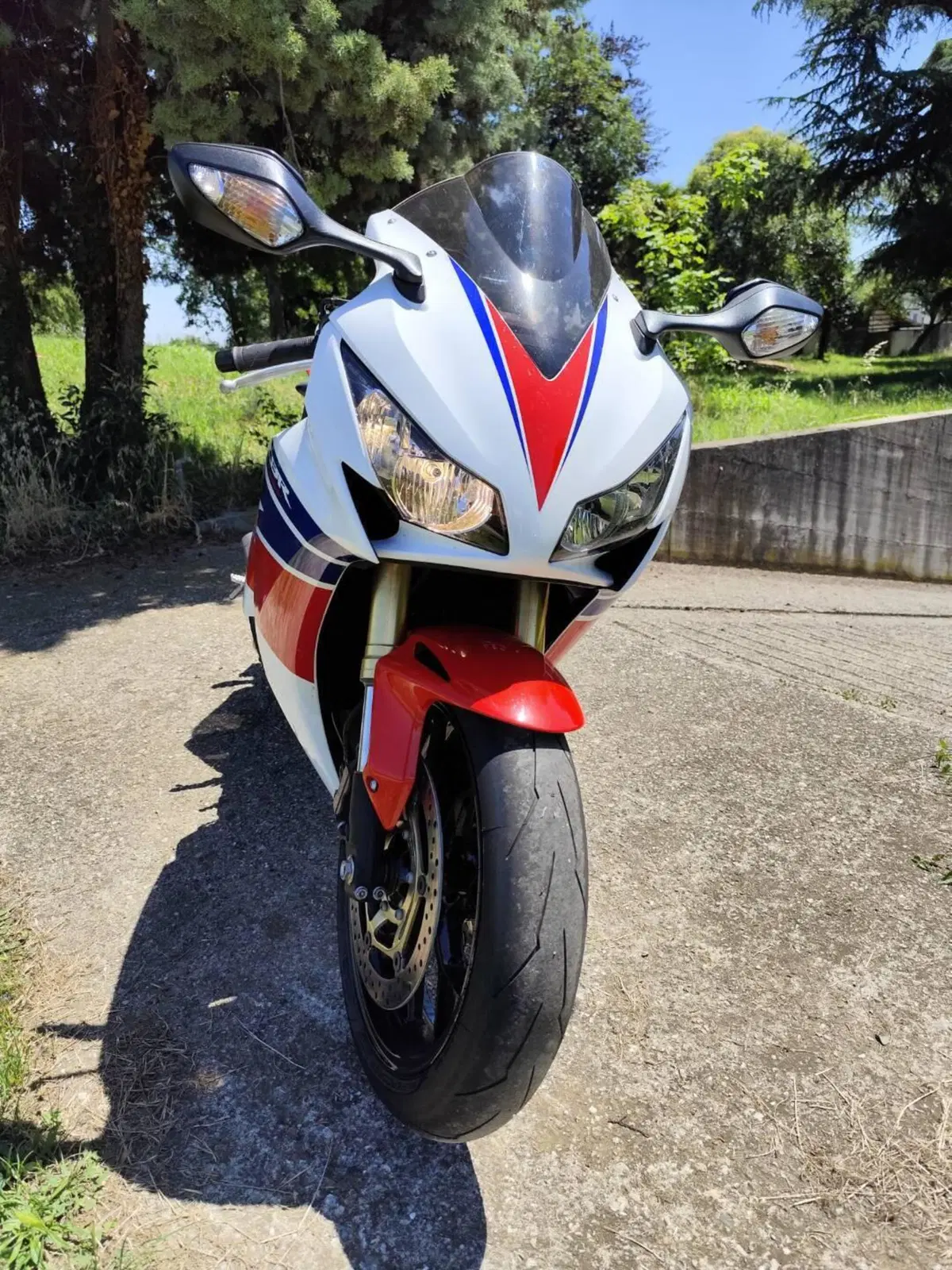Honda CBR 1000 RR Fireblade (2012 - 16) (4)