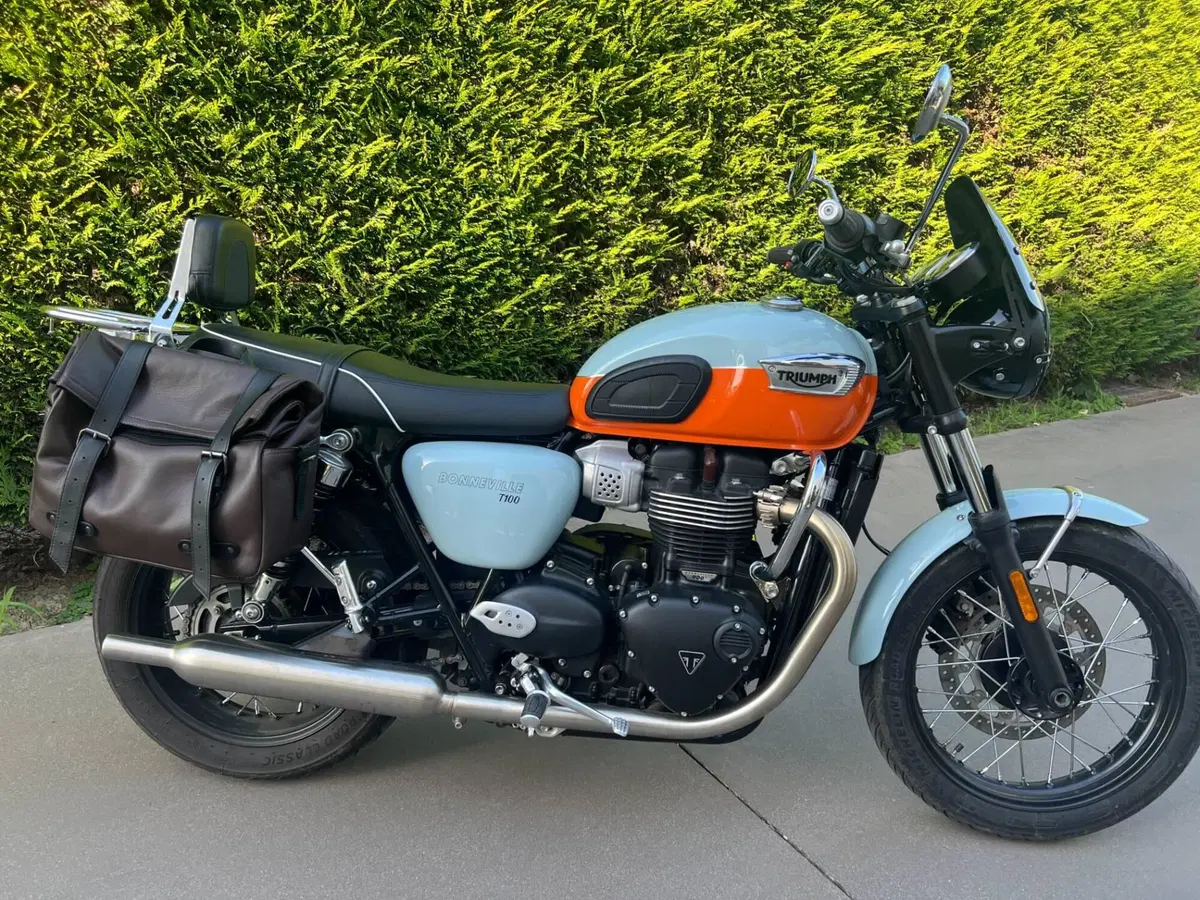 Triumph Bonneville T100 (2021 - 25)