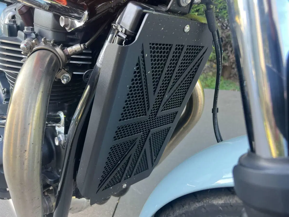 Triumph Bonneville T100 (2021 - 25) (12)