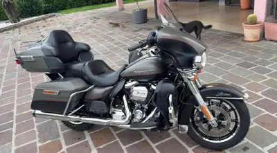 Harley-Davidson 114 Electra Glide Ultra Limited (2019) - FLHTK usata