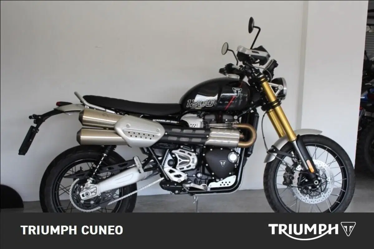 Triumph Scrambler 1200 XE (2024 - 25) (6)