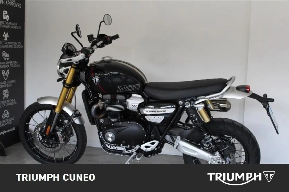 Triumph Scrambler 1200 XE (2024 - 25) (12)