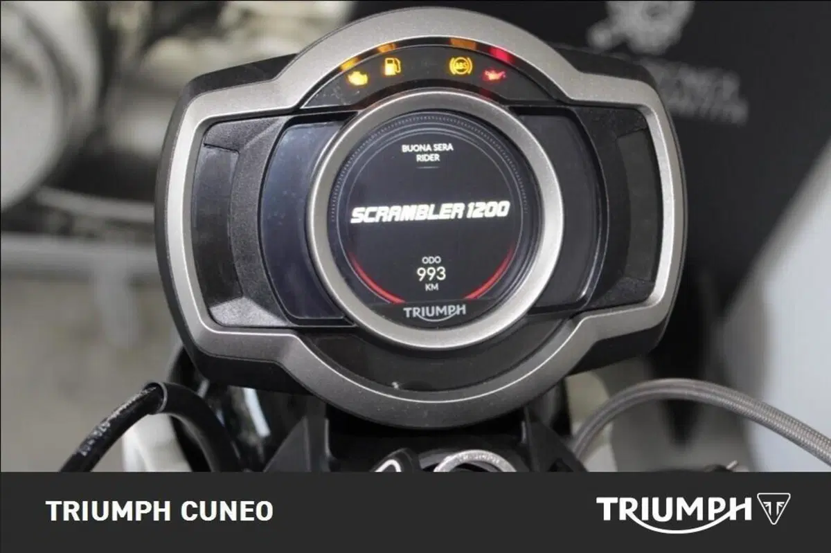 Triumph Scrambler 1200 XE (2024 - 25) (14)