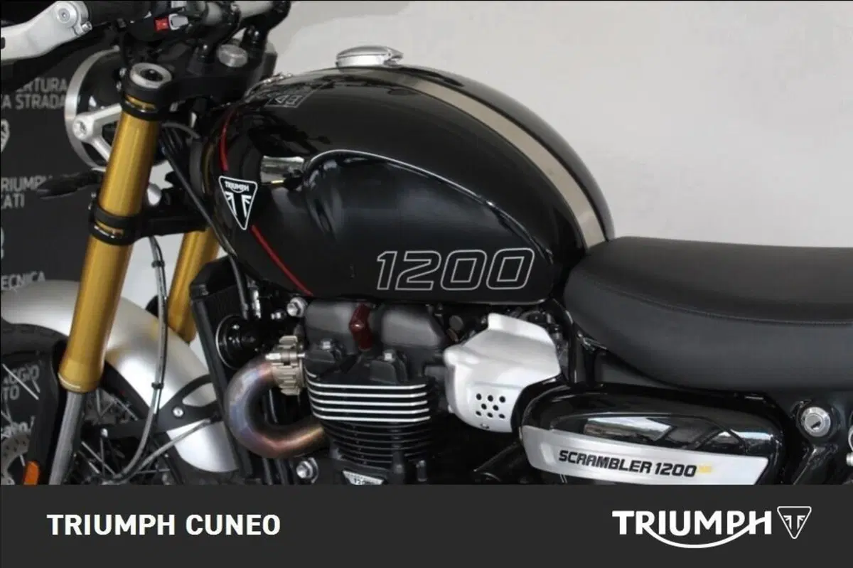 Triumph Scrambler 1200 XE (2024 - 25) (13)