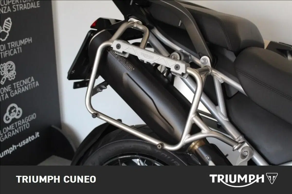 Triumph Tiger 1200 Rally Pro (2022 - 23) (8)