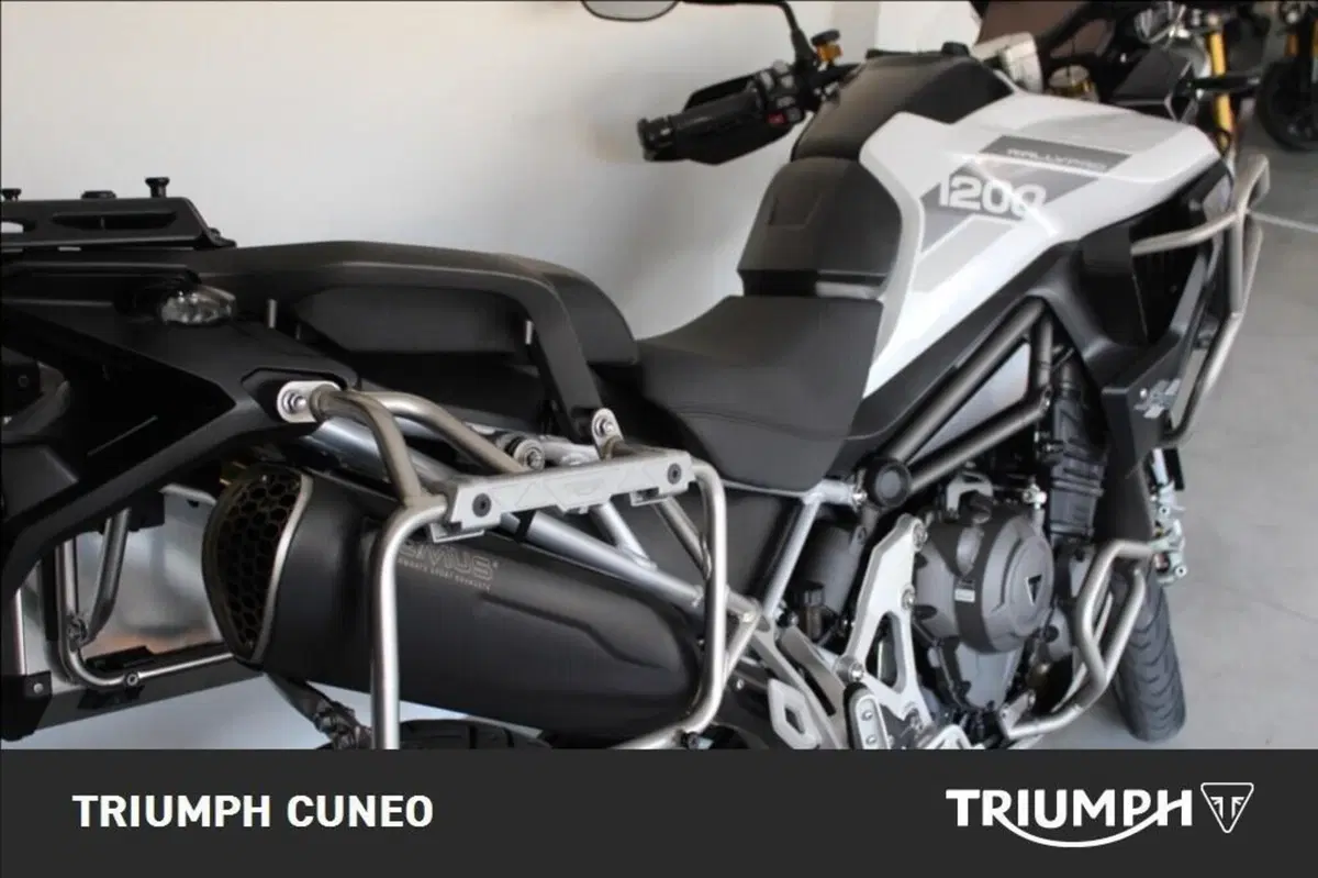 Triumph Tiger 1200 Rally Pro (2022 - 23) (10)