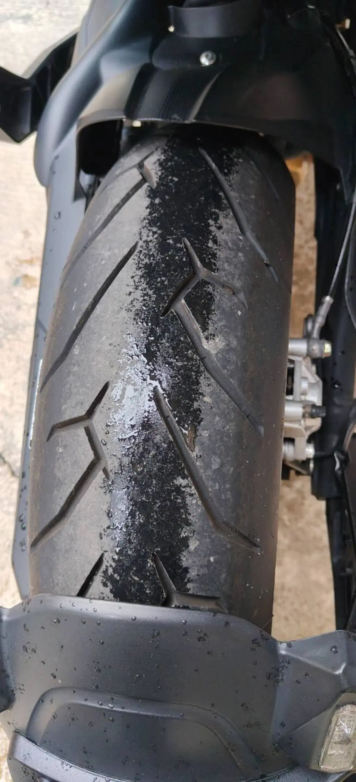 Benelli 502 C (2021 - 25) (7)