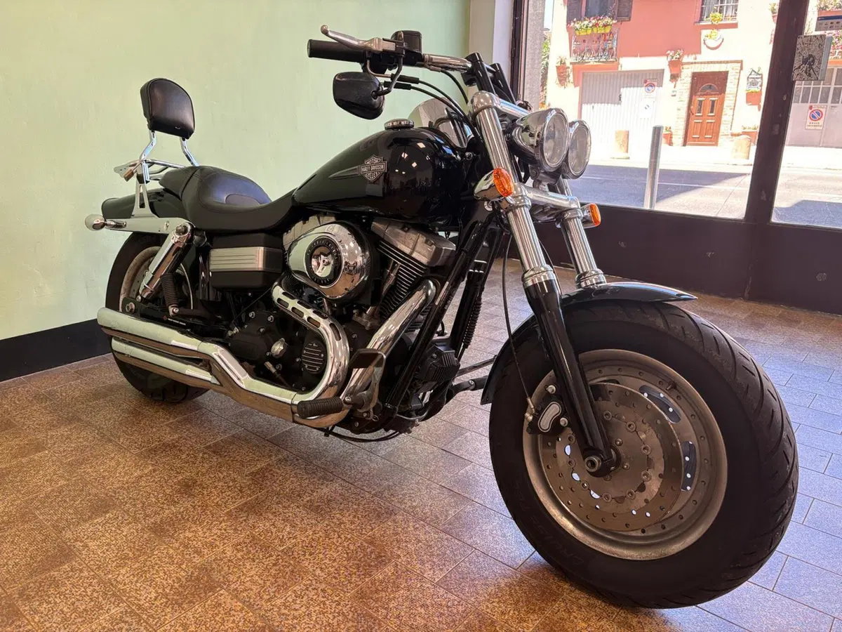 Harley-Davidson 1584 Fat Bob (2007 - 13) - FXDF (6)