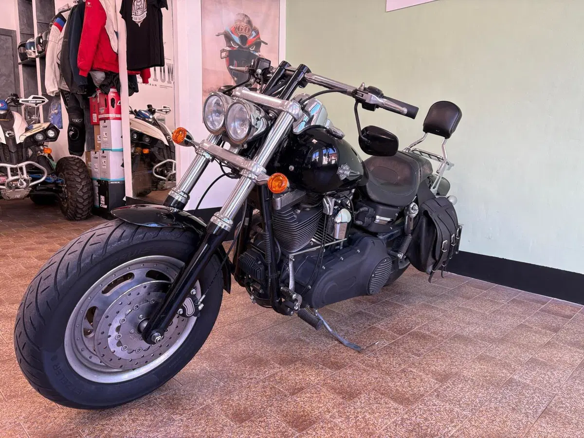 Harley-Davidson 1584 Fat Bob (2007 - 13) - FXDF (7)