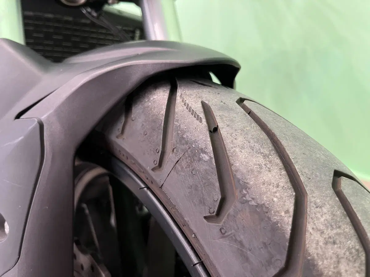 Benelli 502 C (2019 - 20) (10)