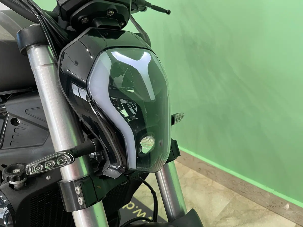 Benelli 502 C (2019 - 20) (16)