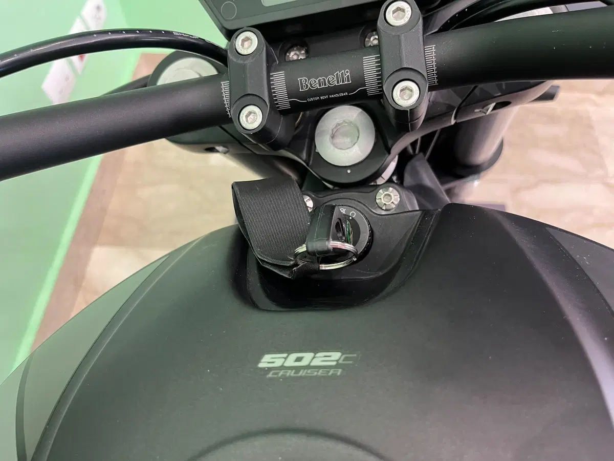Benelli 502 C (2019 - 20) (18)