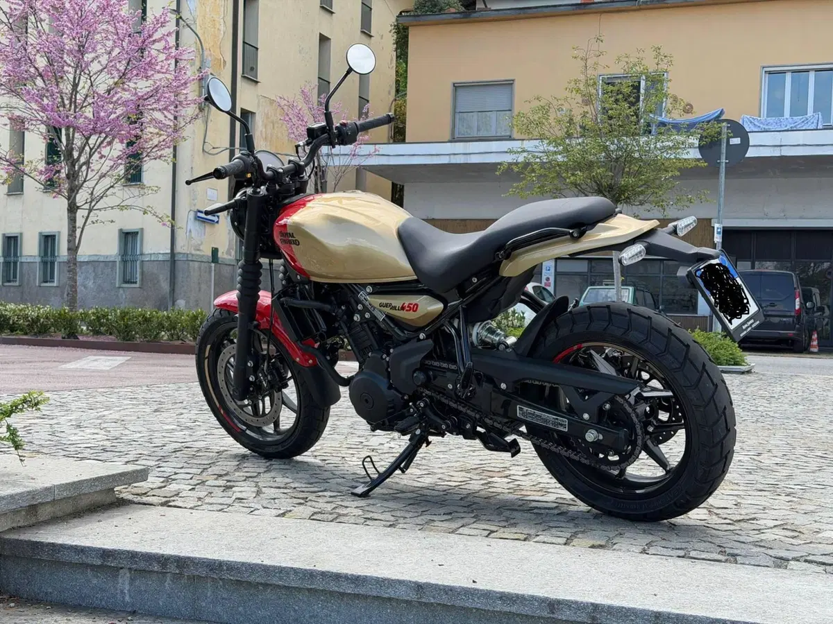 Royal Enfield Guerrilla 450 (2024 - 26) (3)