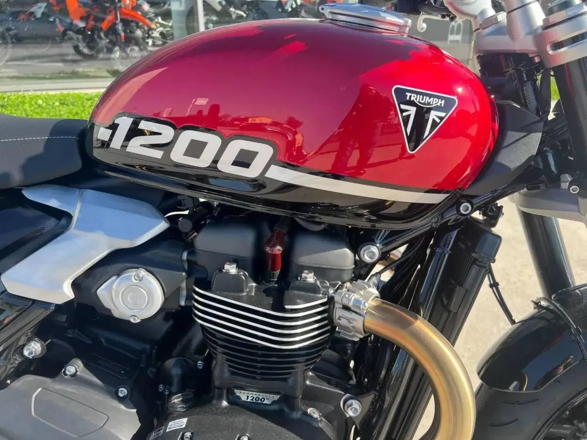 Triumph Speed Twin 1200 (2025 - 26) (2)