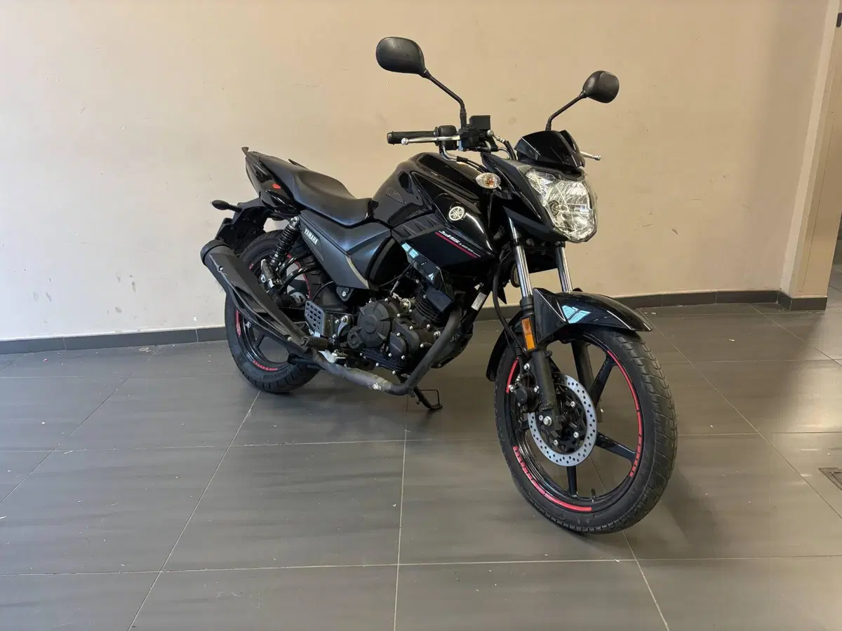 Yamaha YS 125 (2017 - 20) (5)