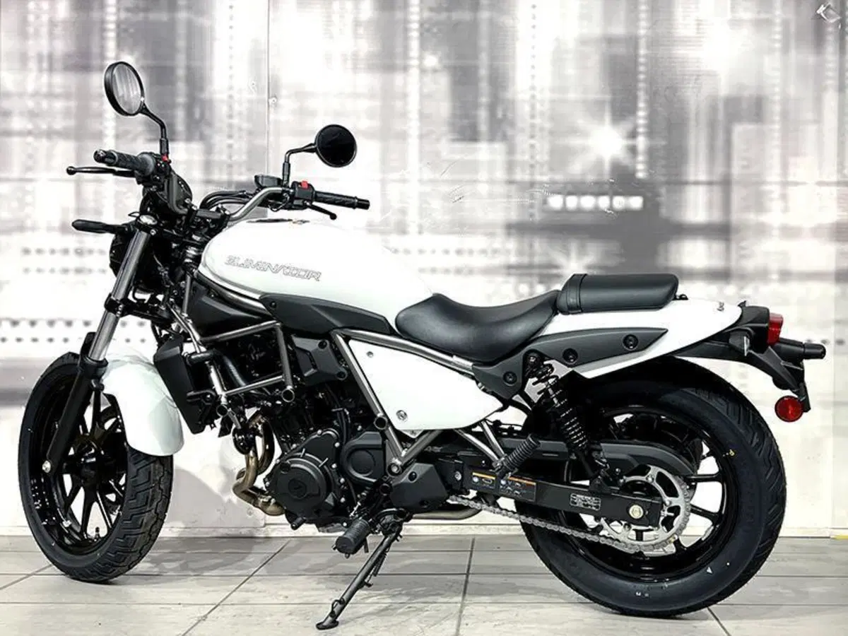 Kawasaki Eliminator 500 (2024 - 27) (2)