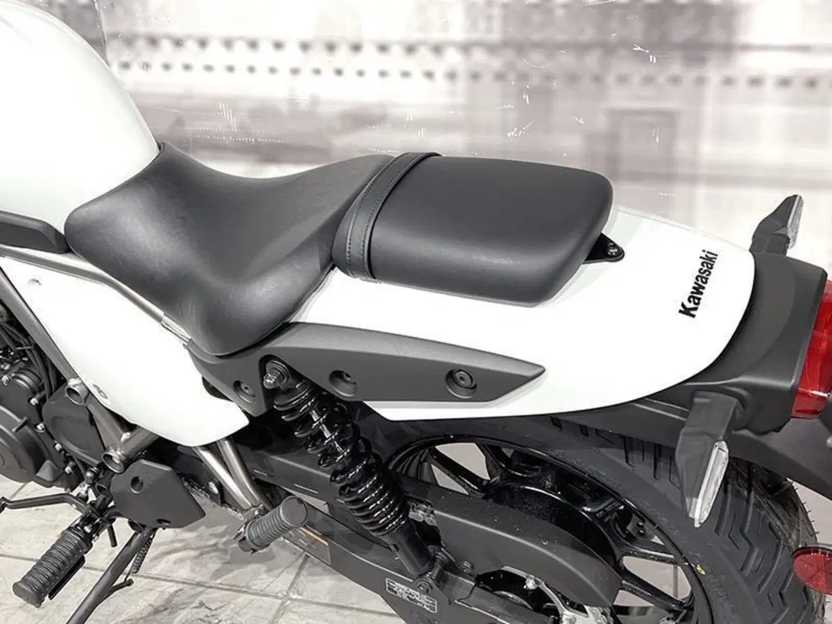 Kawasaki Eliminator 500 (2024 - 27) (4)