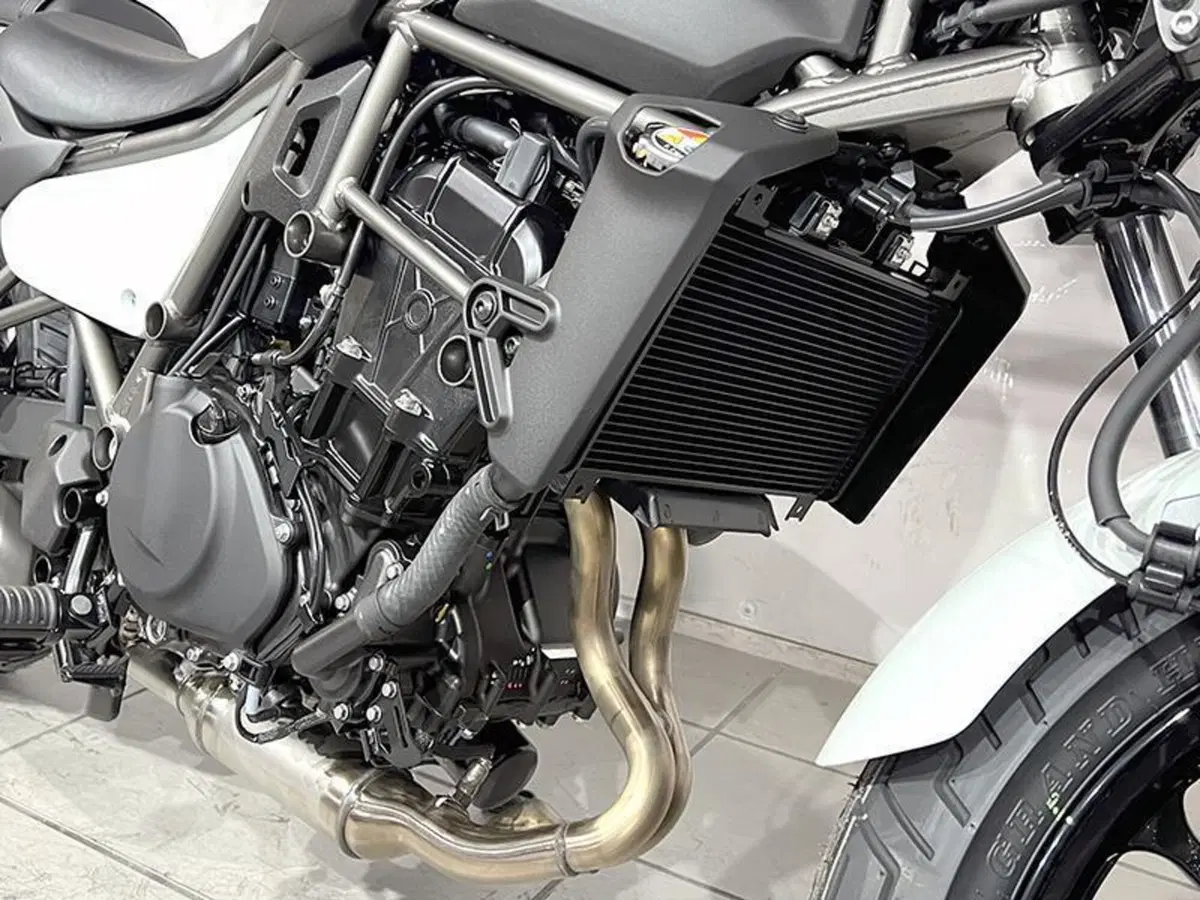 Kawasaki Eliminator 500 (2024 - 27) (5)