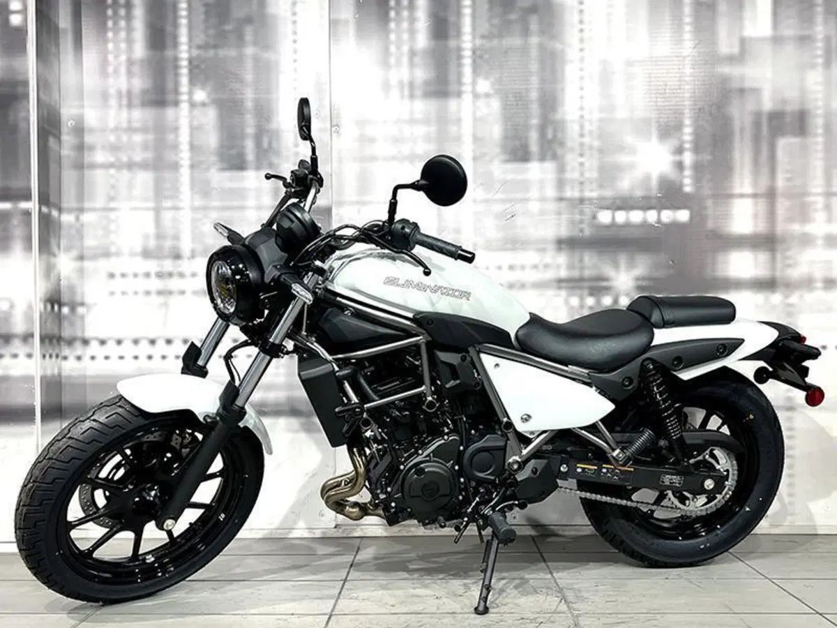 Kawasaki Eliminator 500 (2024 - 27) (7)