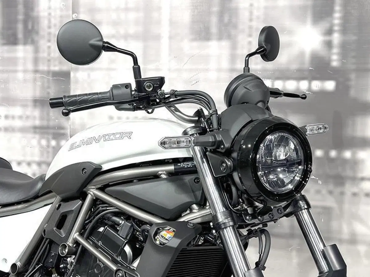 Kawasaki Eliminator 500 (2024 - 27) (9)