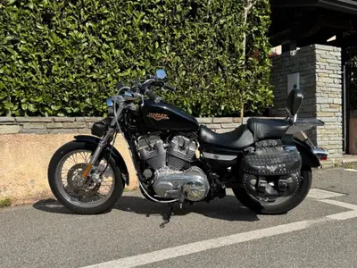 Harley-Davidson 883 Low (2008 - 12) - XL 883L usata