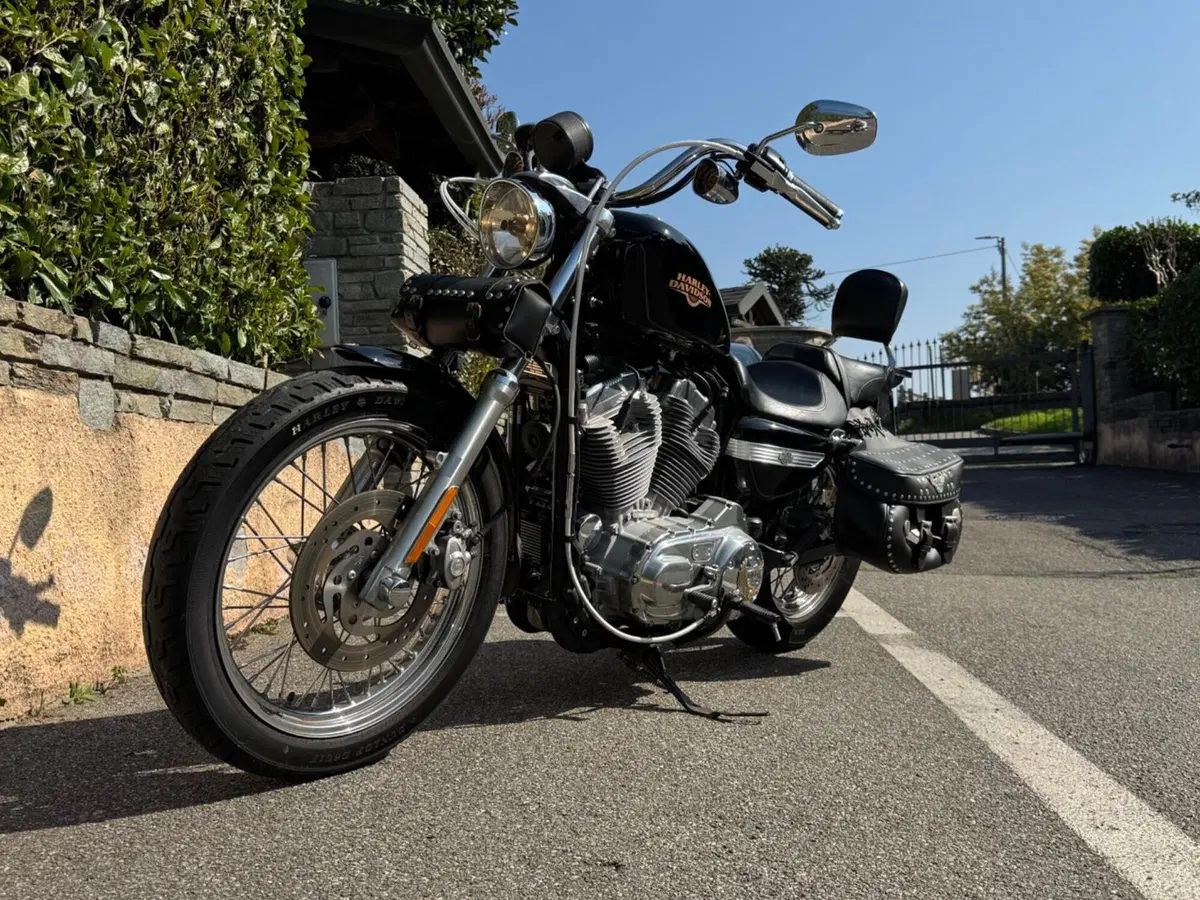 Harley-Davidson 883 Low (2008 - 12) - XL 883L (2)