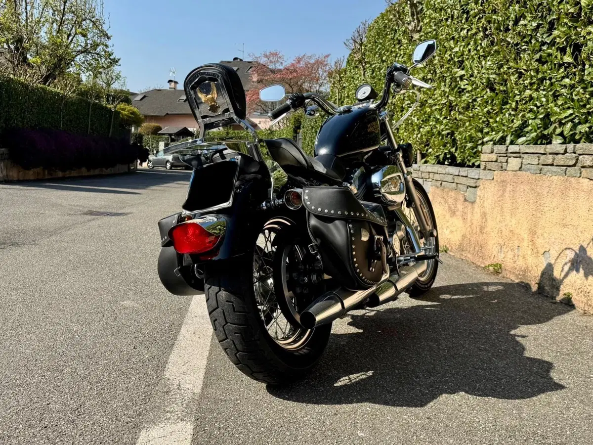 Harley-Davidson 883 Low (2008 - 12) - XL 883L (3)