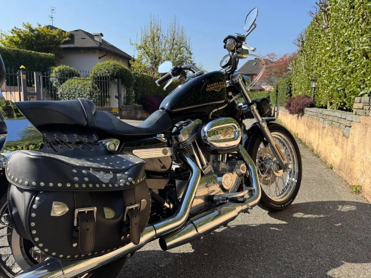 Harley-Davidson 883 Low (2008 - 12) - XL 883L (4)