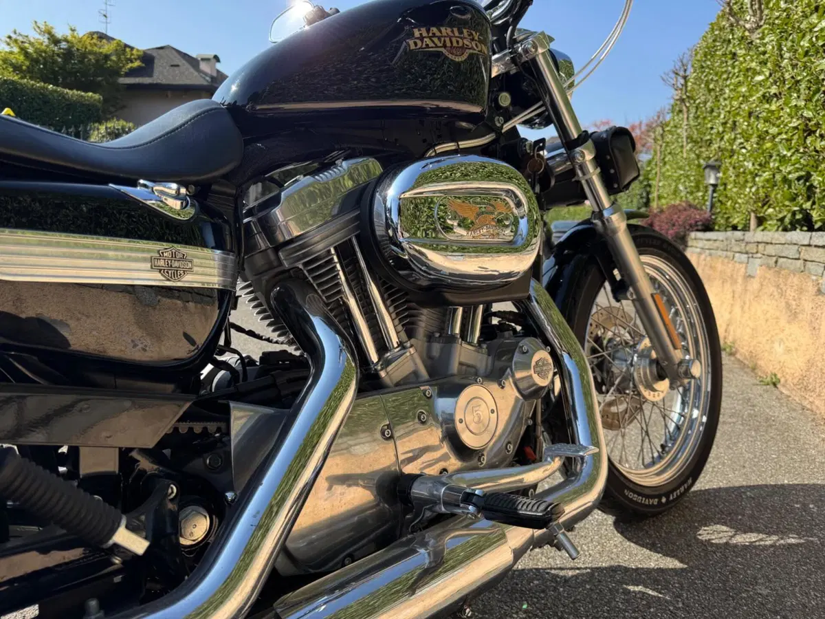 Harley-Davidson 883 Low (2008 - 12) - XL 883L (5)
