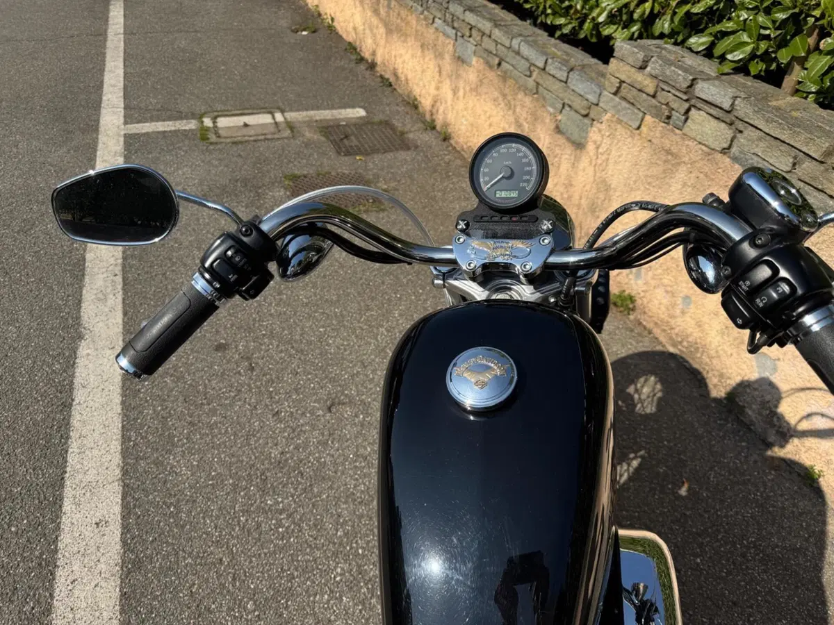 Harley-Davidson 883 Low (2008 - 12) - XL 883L (6)