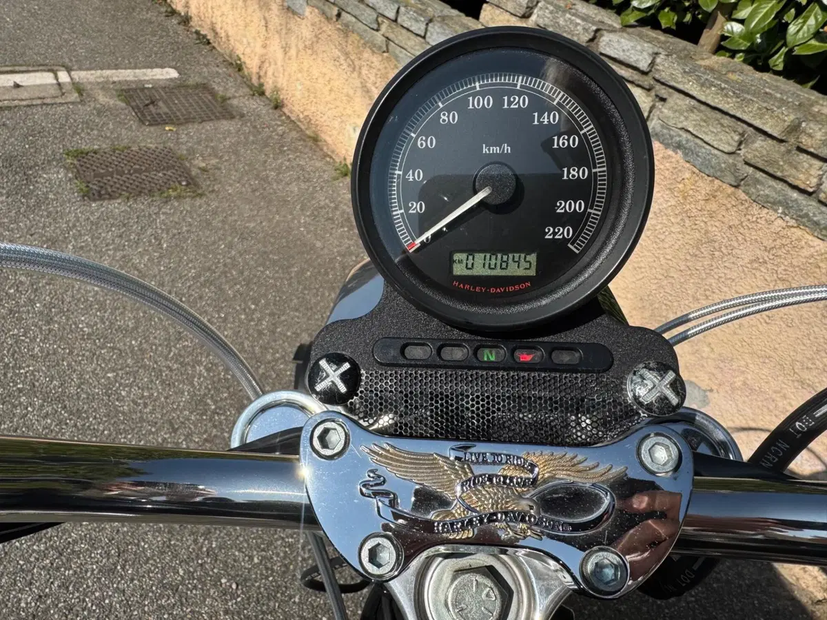 Harley-Davidson 883 Low (2008 - 12) - XL 883L (8)